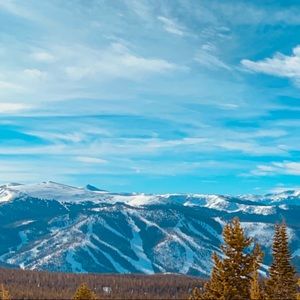 Meet your Posher, Carrington